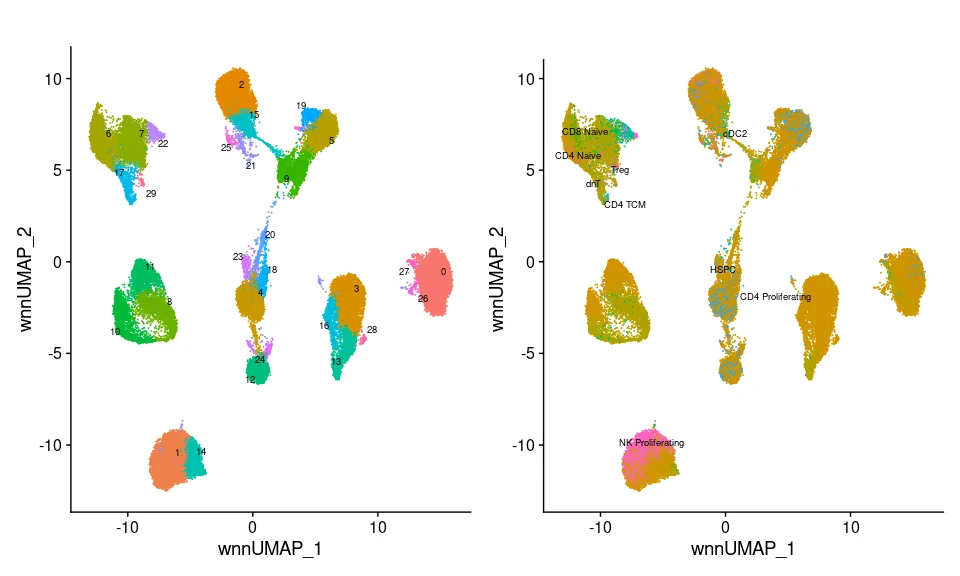 WNN embedding comparison with cluster view on the left and predicted cell-type view on the right, illustrating joint RNA and antibody-derived tag analysis.